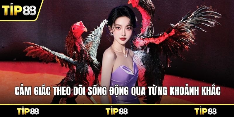 Cảm giác theo dõi sống động qua từng khoảnh khắc
