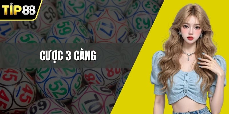 Cược 3 Càng - Bí Kíp Săn Thưởng Lớn Nhất Tại Nhà Cái