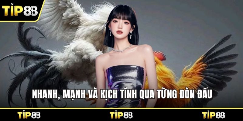 Nhanh, mạnh và kịch tính qua từng đòn đấu