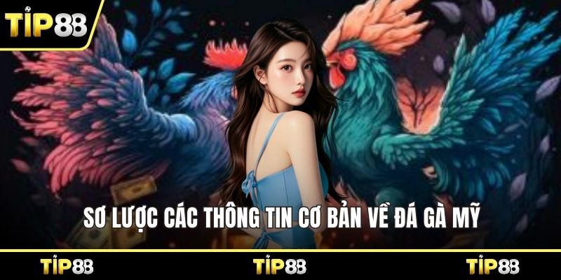 Sơ lược các thông tin cơ bản về đá gà Mỹ 
