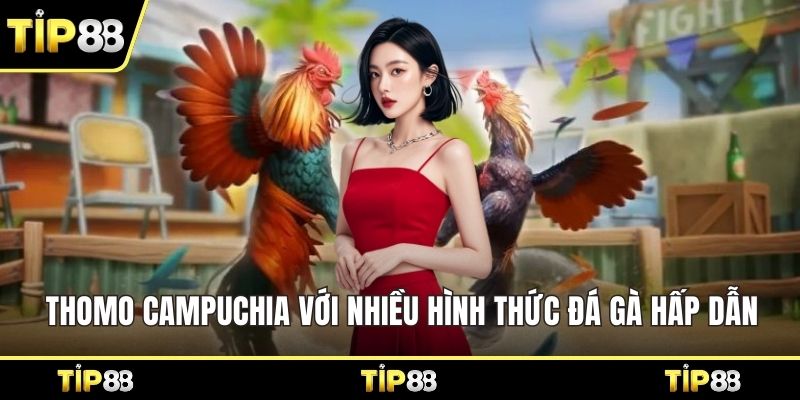 Thomo Campuchia với nhiều hình thức đá gà hấp dẫn