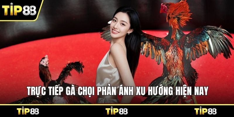Trực tiếp gà chọi phản ánh xu hướng hiện nay